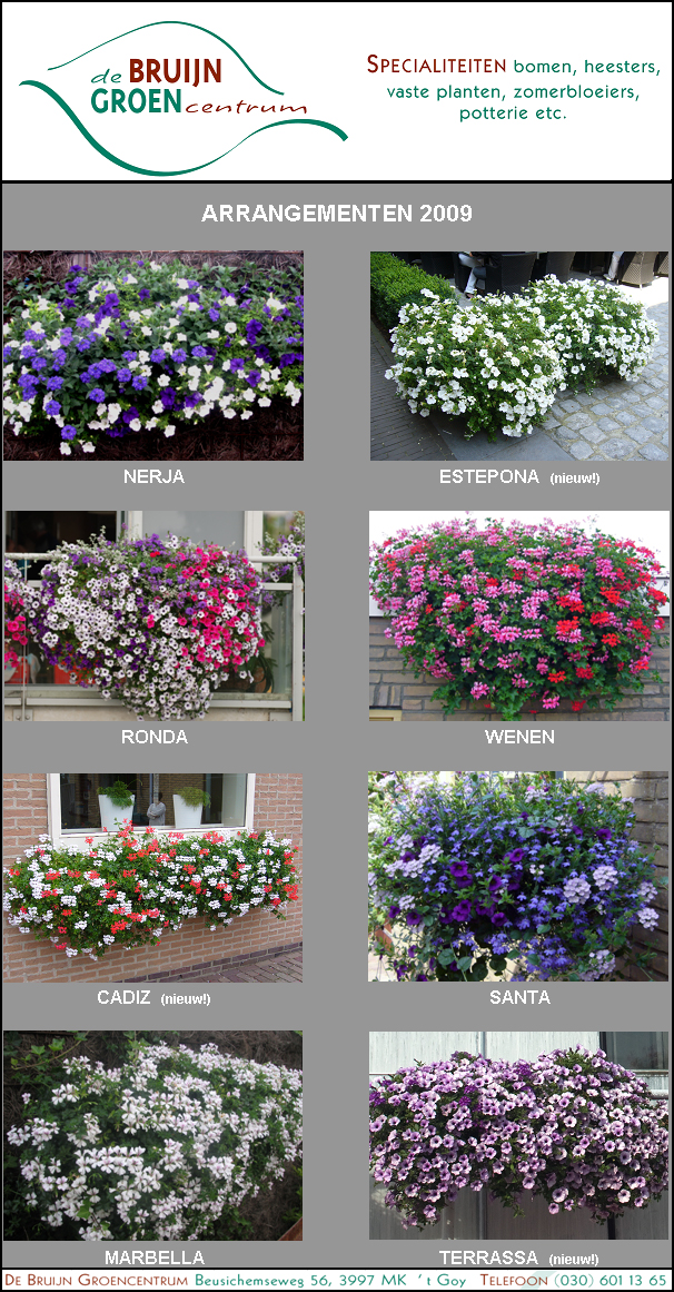 Arrangementen 2009(1).jpg (784.42 kB)